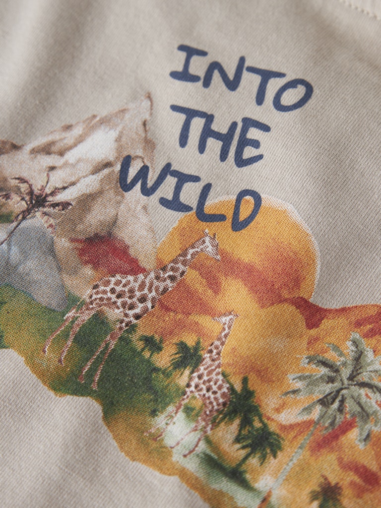 13255383_34266-3.jpg