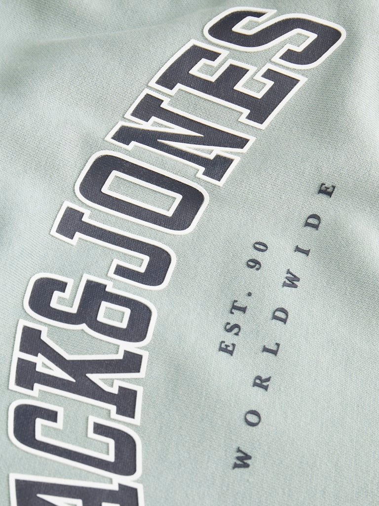 12259564_26271-2.jpg