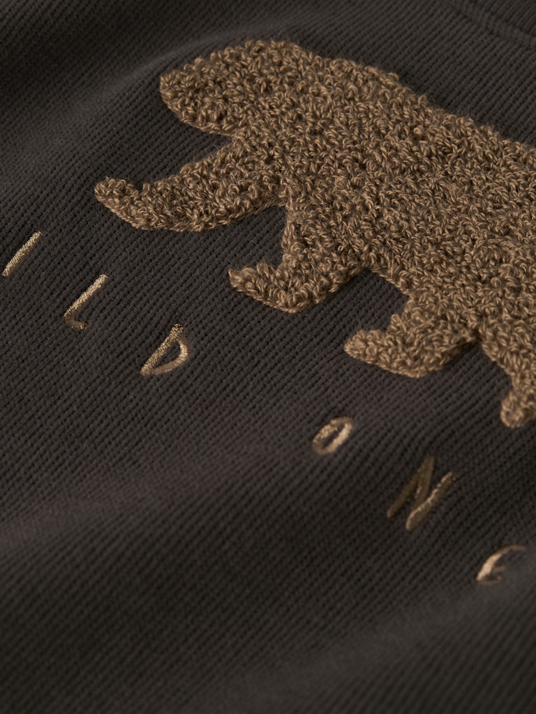 13233703_31961-3.jpg