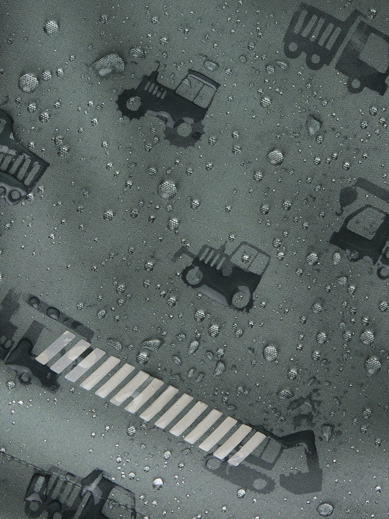 13248662_32759-4.jpg