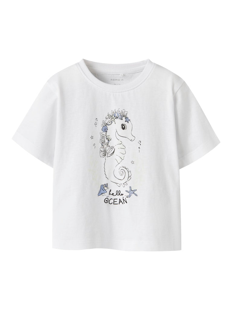 13254631_35210-0.jpg